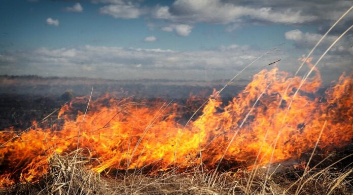 Incendiu la Bengești-Ciocadia
