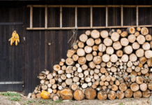 Centrale pe lemne vs. centrale electrice – care este mai rentabilă în 2025?