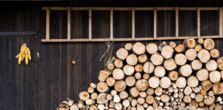 Centrale pe lemne vs. centrale electrice – care este mai rentabilă în 2025?