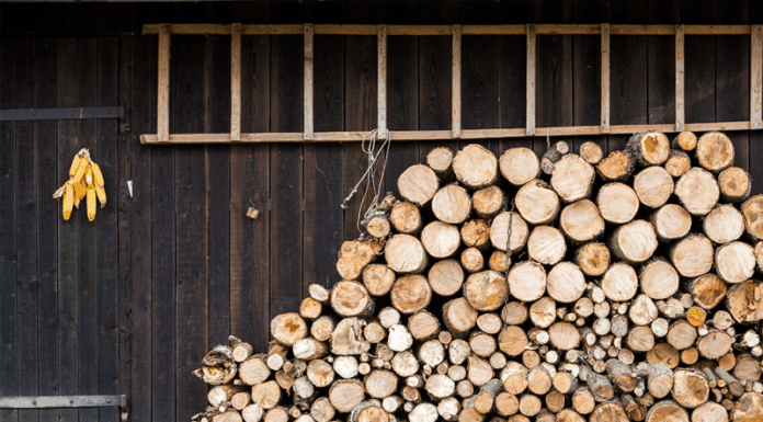 Centrale pe lemne vs. centrale electrice – care este mai rentabilă în 2025?