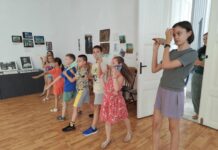 Ziua Aviației, marcată la Muzeul Județean