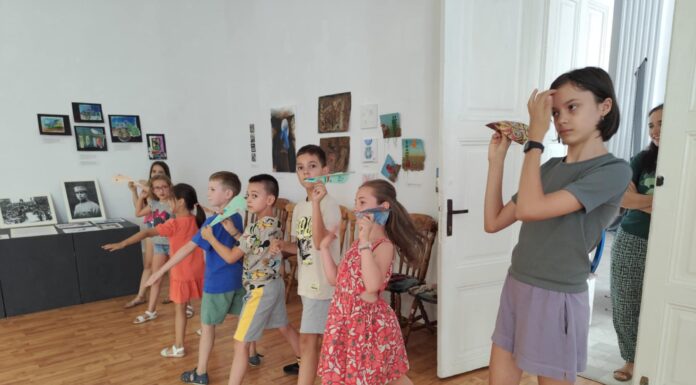 Ziua Aviației, marcată la Muzeul Județean