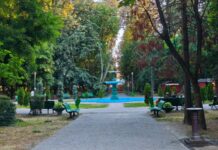 Parcul Central din Târgu Jiu intră în reabilitare
