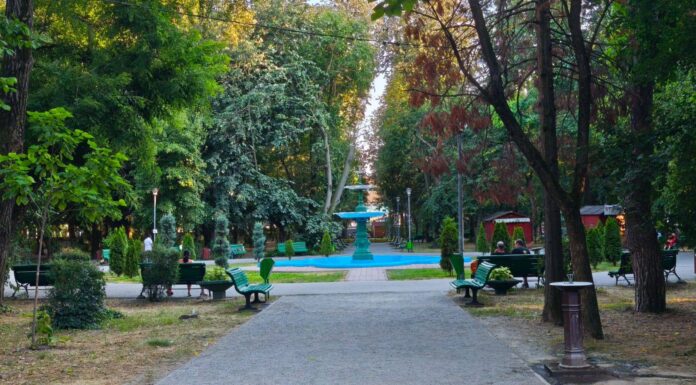 Parcul Central din Târgu Jiu intră în reabilitare