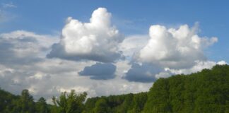 Atitudini estivale – În umbra Pietrei Cloșanilor