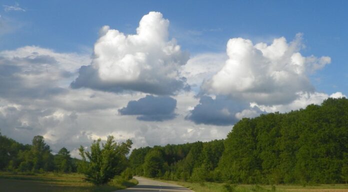 Atitudini estivale – În umbra Pietrei Cloșanilor