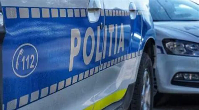 Căruțaș rănit după ce calul s-a speriat brusc