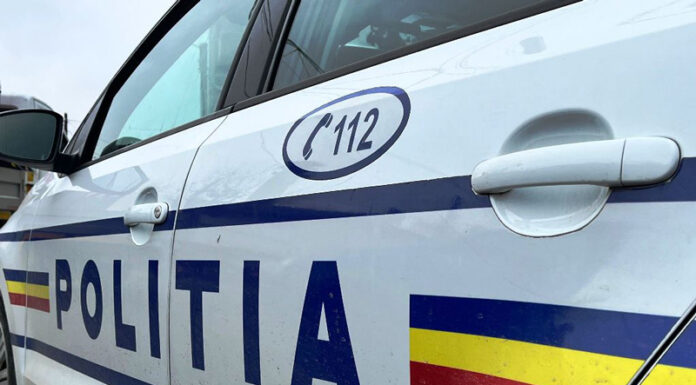 Doljean prins la volanul unei autoutilitare, fără permis