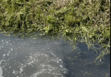 Firmă din Mătăsari, amendată cu 60.000 de lei pentru poluare