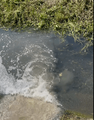 Firmă din Mătăsari, amendată cu 60.000 de lei pentru poluare