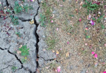 Seceta face ravagii în Gorj