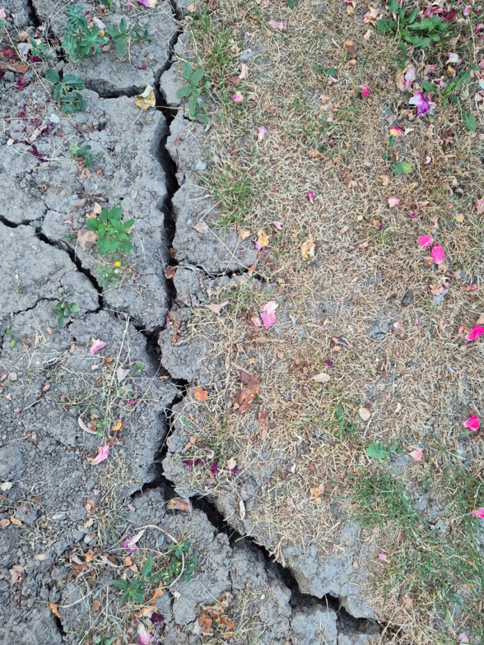 Seceta face ravagii în Gorj