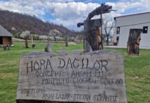 Meșteri din trei județe, prezenți de astăzi la Tabăra de sculptură de la Polovragi