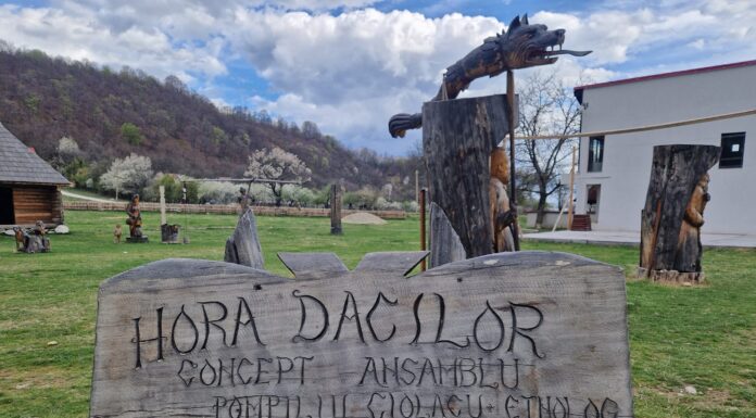 Meșteri din trei județe, prezenți de astăzi la Tabăra de sculptură de la Polovragi