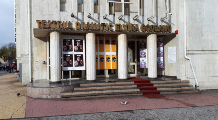 Teatrul din Târgu Jiu caută croitor cu experiență