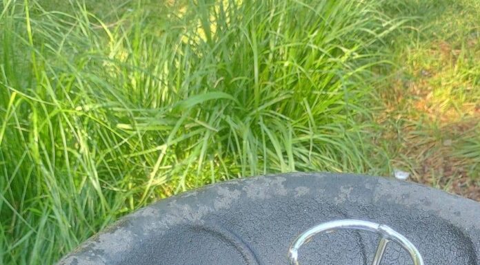 Vandalism în Târgu Jiu: Cișmele distruse la câteva ore după reparații