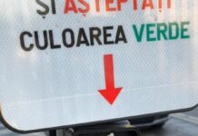 Semafor vandalizat chiar în fața Primăriei Târgu Jiu. Imaginile au fost trimise Poliției!