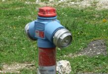 Atitudini estivale… pe “moka” – „IN VINO VERITAS” păi da…