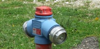 Atitudini estivale… pe “moka” – „IN VINO VERITAS” păi da…