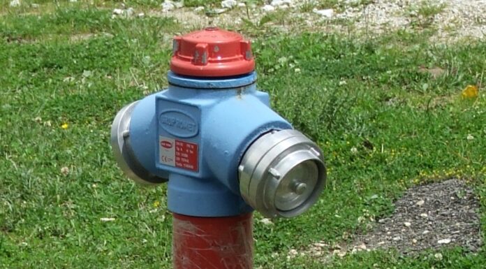 Atitudini estivale… pe “moka” – „IN VINO VERITAS” păi da…