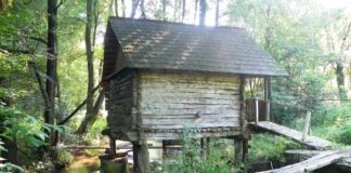 Peripluri estivale – Prin fascinanta lume a izvoarelor gorjene