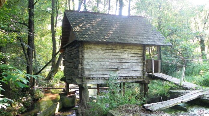 Peripluri estivale – Prin fascinanta lume a izvoarelor gorjene