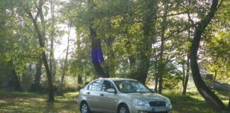 Peripluri gorjene – Așa da… Perimetre ecologizate