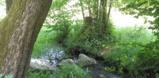 Popasuri gorjene – La pas, prin ținutul „Bolboroaselor”