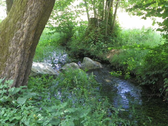 Popasuri gorjene – La pas, prin ținutul „Bolboroaselor”