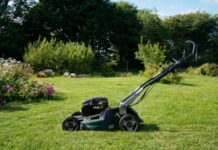 Echipamente care îți salvează timpul: cum faci lucrările din grădină mai ușor și mai eficient