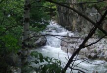 Peripluri estivale – Bistrițele Olteniei