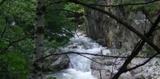 Peripluri estivale – Bistrițele Olteniei