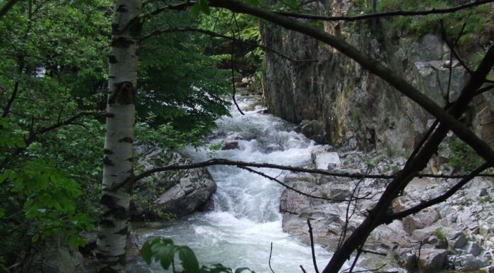 Peripluri estivale – Bistrițele Olteniei