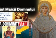 Esenţa Rugăciunii în Postul «Adormirii Maicii Domnului» – Rugăciunea se dovedeşte o tensiune a spiritului către substratul imaterial al lumii acesteia, una care ne permite să comunicăm personal cu Atotputernicul Dumnezeu!