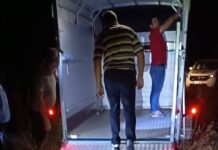 FOTO – Târgu Jiu: Cal salvat din lacul Panduraș