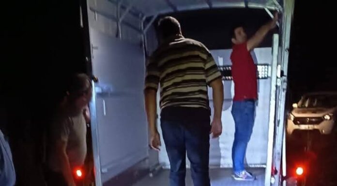 FOTO – Târgu Jiu: Cal salvat din lacul Panduraș