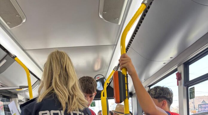 Târgu Jiu: Acțiuni de informare privind furturile din buzunare