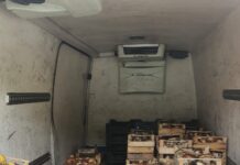 270 de kg de ciuperci, confiscate de polițiștii gorjeni