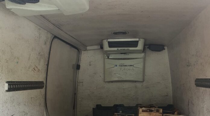 270 de kg de ciuperci, confiscate de polițiștii gorjeni