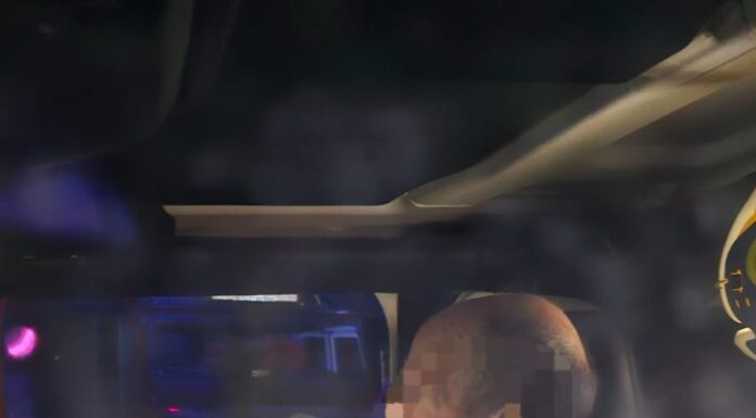 VIDEO: Bătrân dispărut, găsit în pădure cu ajutorul unei drone cu termoviziune