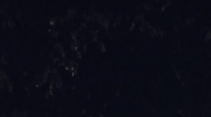 FOTO: Accident cu două victime pe Calea București din Târgu-Jiu