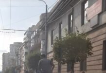 Scene inedite în centrul Târgu Jiului. Cu calul, printre mașini