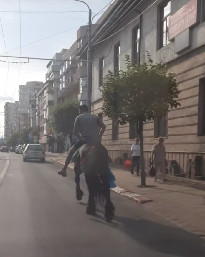 Scene inedite în centrul Târgu Jiului. Cu calul, printre mașini