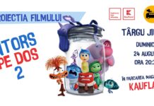 Seară de film sub cerul liber la Târgu Jiu