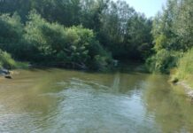 SGA Gorj consolidează malurile pârâului Tismana