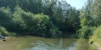 SGA Gorj consolidează malurile pârâului Tismana