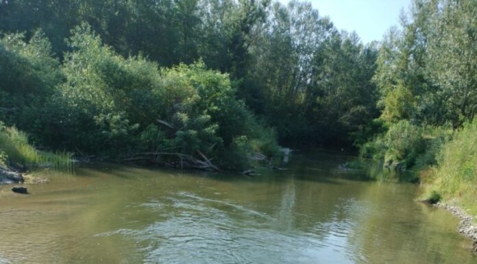 SGA Gorj consolidează malurile pârâului Tismana