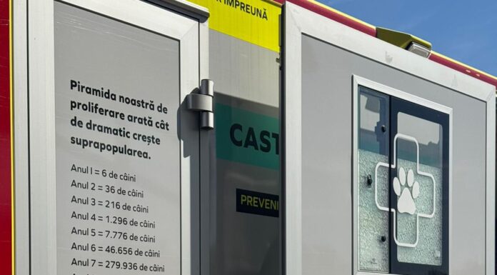 O nouă campanie de sterilizare a câinilor în județ