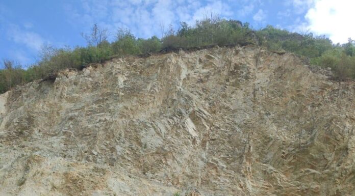 Controale în zona Pleșa-Bumbești Jiu. Amendă de 40.000 lei!