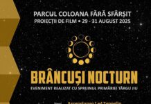 Brâncuși Nocturn: Trei seri de film sub cerul liber, la Târgu Jiu
